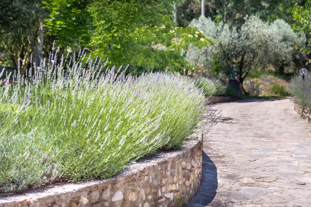 Tavarnelle Val di Pesa Agriturismo La Valle A Polvereto מראה חיצוני תמונה