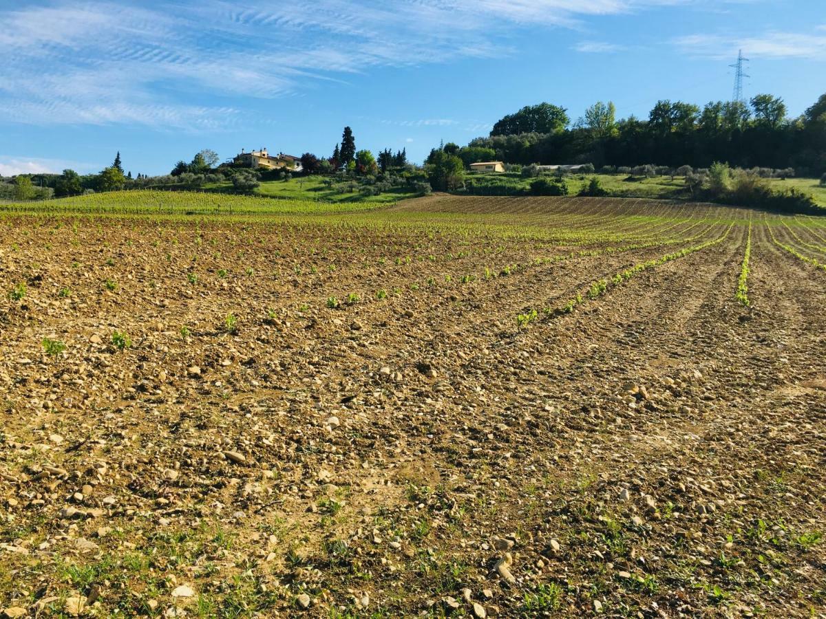 Tavarnelle Val di Pesa Agriturismo La Valle A Polvereto מראה חיצוני תמונה